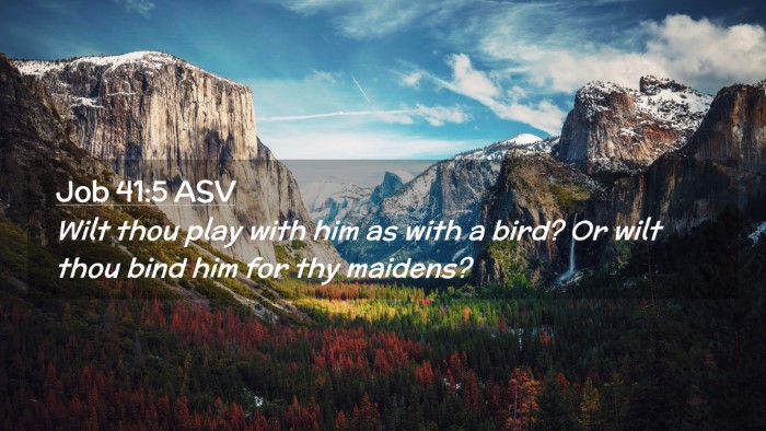 Picture 02 - Job 41:5 ASV Desktop Wallpaper - Wilt thou play with him as with a bird? Or wilt - Desktop Bible Verse Wallpaper