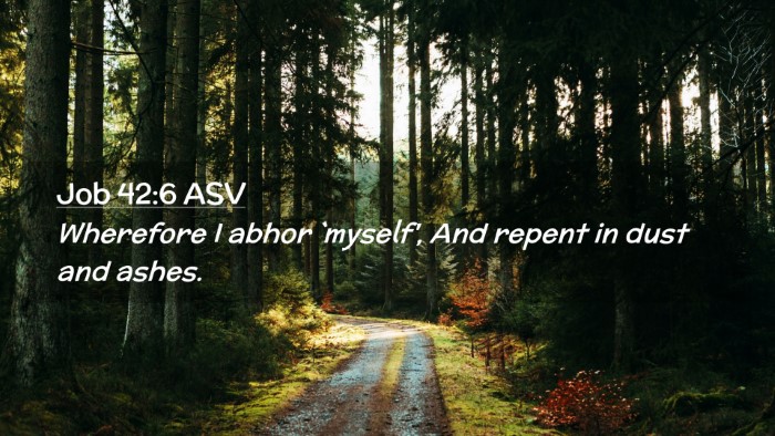 Picture 02 - Job 42:6 ASV Desktop Wallpaper - Wherefore I abhor `myself', And repent in dust - Desktop Bible Verse Wallpaper