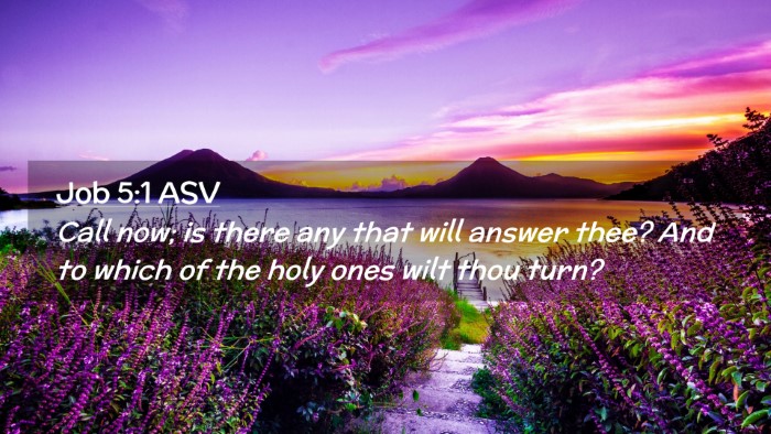 Picture 02 - Job 5:1 ASV Desktop Wallpaper - Call now; is there any that will answer thee? And - Desktop Bible Verse Wallpaper