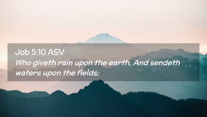 Picture 02 - Job 5:10 ASV Desktop Wallpaper - Who giveth rain upon the earth, And sendeth - Desktop Bible Verse Wallpaper