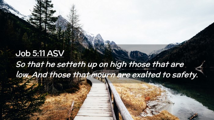 Picture 02 - Job 5:11 ASV Desktop Wallpaper - So that he setteth up on high those that are low, - Desktop Bible Verse Wallpaper