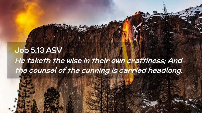 Picture 02 - Job 5:13 ASV Desktop Wallpaper - He taketh the wise in their own craftiness; And - Desktop Bible Verse Wallpaper