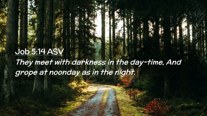 Picture 02 - Job 5:14 ASV Desktop Wallpaper - They meet with darkness in the day-time, And - Desktop Bible Verse Wallpaper