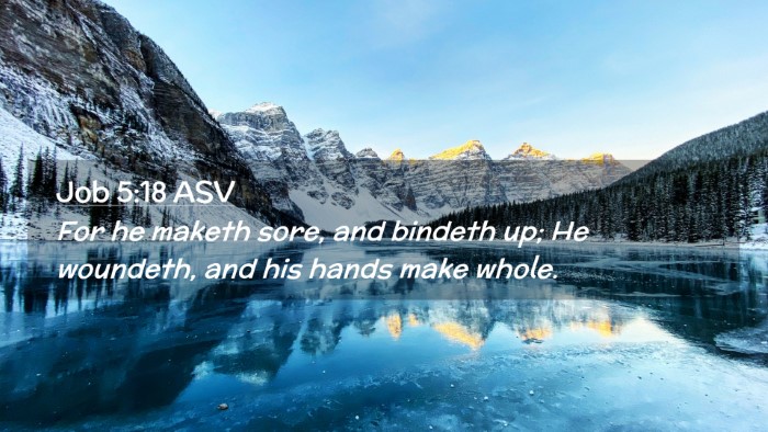 Picture 02 - Job 5:18 ASV Desktop Wallpaper - For he maketh sore, and bindeth up; He woundeth, - Desktop Bible Verse Wallpaper