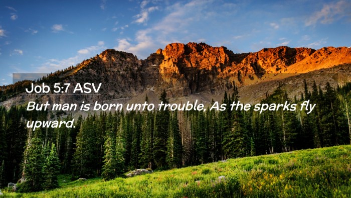 Picture 02 - Job 5:7 ASV Desktop Wallpaper - But man is born unto trouble, As the sparks fly - Desktop Bible Verse Wallpaper