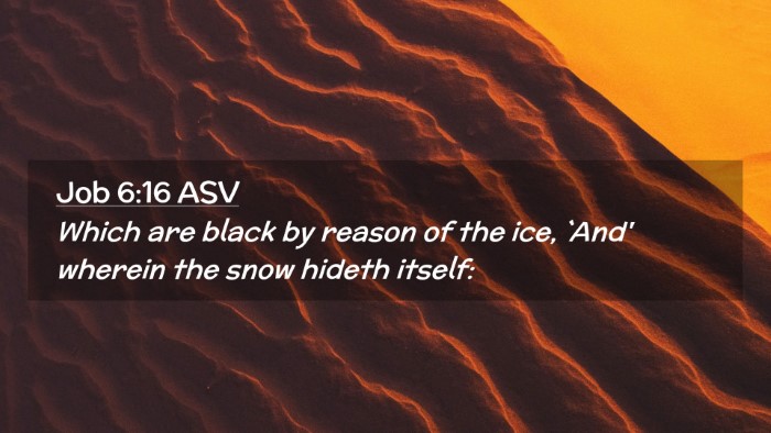Picture 02 - Job 6:16 ASV Desktop Wallpaper - Which are black by reason of the ice, `And' - Desktop Bible Verse Wallpaper