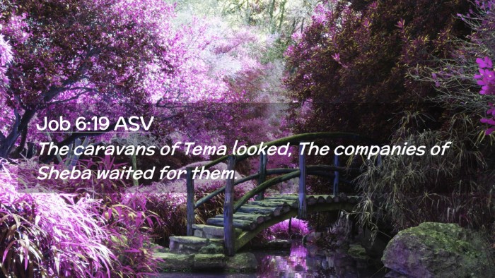 Picture 02 - Job 6:19 ASV Desktop Wallpaper - The caravans of Tema looked, The companies of - Desktop Bible Verse Wallpaper