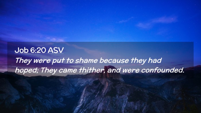 Picture 02 - Job 6:20 ASV Desktop Wallpaper - They were put to shame because they had hoped; - Desktop Bible Verse Wallpaper
