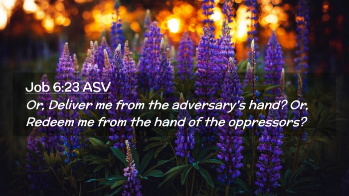 Picture 02 - Job 6:23 ASV Desktop Wallpaper - Or, Deliver me from the adversary's hand? Or, - Desktop Bible Verse Wallpaper