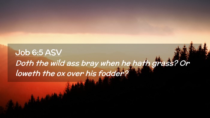 Picture 02 - Job 6:5 ASV Desktop Wallpaper - Doth the wild ass bray when he hath grass? Or - Desktop Bible Verse Wallpaper