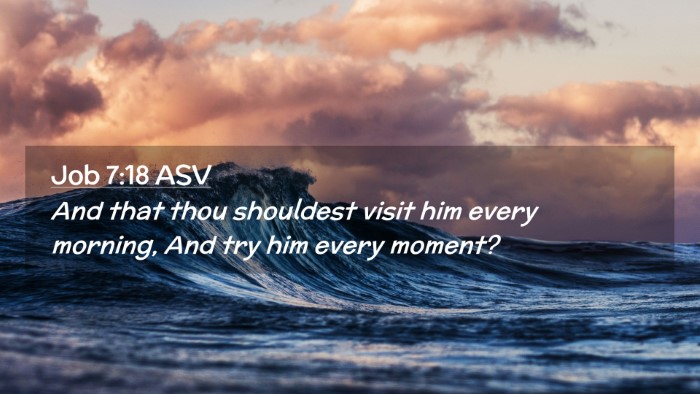 Picture 02 - Job 7:18 ASV Desktop Wallpaper - And that thou shouldest visit him every morning, - Desktop Bible Verse Wallpaper