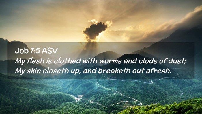 Picture 02 - Job 7:5 ASV Desktop Wallpaper - My flesh is clothed with worms and clods of dust; - Desktop Bible Verse Wallpaper
