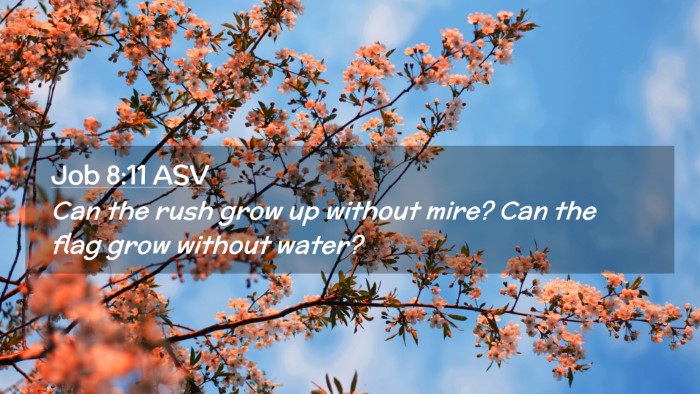 Picture 02 - Job 8:11 ASV Desktop Wallpaper - Can the rush grow up without mire? Can the flag - Desktop Bible Verse Wallpaper