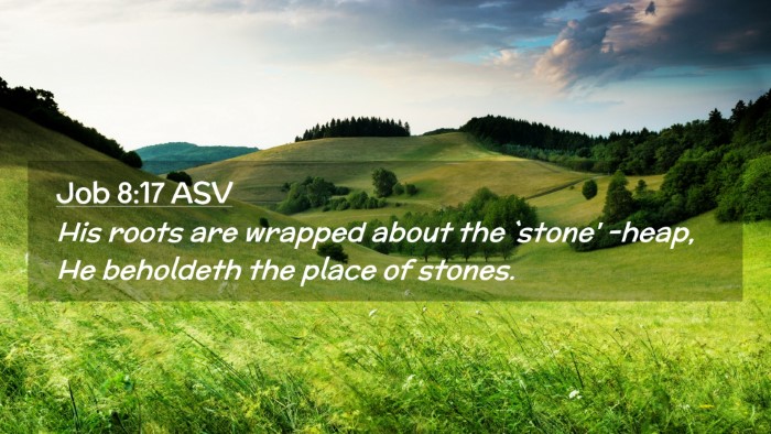 Picture 02 - Job 8:17 ASV Desktop Wallpaper - His roots are wrapped about the `stone' -heap, He - Desktop Bible Verse Wallpaper