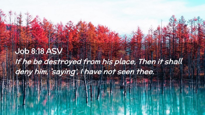 Picture 02 - Job 8:18 ASV Desktop Wallpaper - If he be destroyed from his place, Then it shall - Desktop Bible Verse Wallpaper