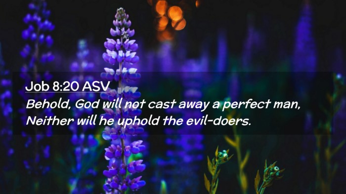 Picture 02 - Job 8:20 ASV Desktop Wallpaper - Behold, God will not cast away a perfect man, - Desktop Bible Verse Wallpaper