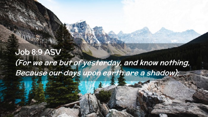 Picture 02 - Job 8:9 ASV Desktop Wallpaper - (For we are but of yesterday, and know nothing, - Desktop Bible Verse Wallpaper