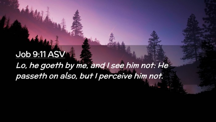 Picture 02 - Job 9:11 ASV Desktop Wallpaper - Lo, he goeth by me, and I see him not: He passeth - Desktop Bible Verse Wallpaper