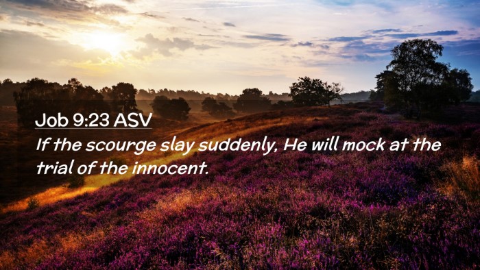 Picture 02 - Job 9:23 ASV Desktop Wallpaper - If the scourge slay suddenly, He will mock at the - Desktop Bible Verse Wallpaper