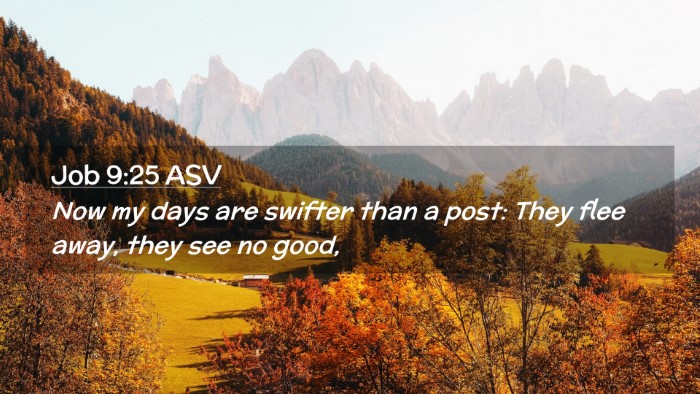 Picture 02 - Job 9:25 ASV Desktop Wallpaper - Now my days are swifter than a post: They flee - Desktop Bible Verse Wallpaper