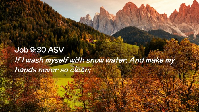 Picture 02 - Job 9:30 ASV Desktop Wallpaper - If I wash myself with snow water, And make my - Desktop Bible Verse Wallpaper