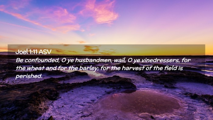 Picture 02 - Joel 1:11 ASV Desktop Wallpaper - Be confounded, O ye husbandmen, wail, O ye - Desktop Bible Verse Wallpaper