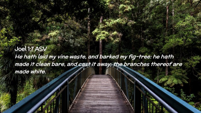Picture 02 - Joel 1:7 ASV Desktop Wallpaper - He hath laid my vine waste, and barked my - Desktop Bible Verse Wallpaper