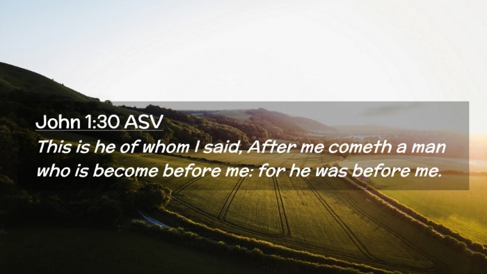 Picture 02 - John 1:30 ASV Desktop Wallpaper - This is he of whom I said, After me cometh a man - Desktop Bible Verse Wallpaper