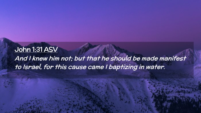 Picture 02 - John 1:31 ASV Desktop Wallpaper - And I knew him not; but that he should be made - Desktop Bible Verse Wallpaper