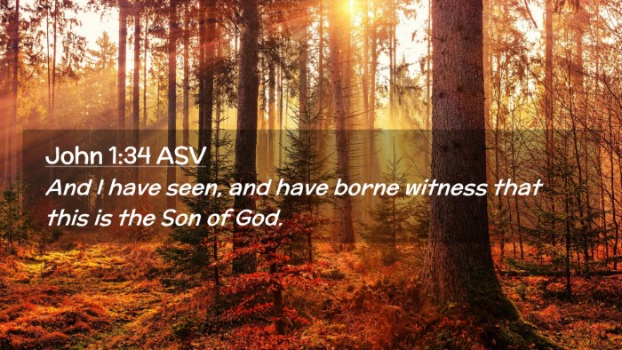 Picture 02 - John 1:34 ASV Desktop Wallpaper - And I have seen, and have borne witness that this - Desktop Bible Verse Wallpaper