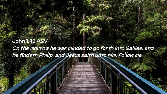 Picture 02 - John 1:43 ASV Desktop Wallpaper - On the morrow he was minded to go forth into - Desktop Bible Verse Wallpaper