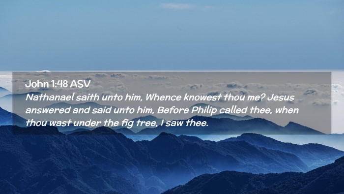 Picture 02 - John 1:48 ASV Desktop Wallpaper - Nathanael saith unto him, Whence knowest thou me? - Desktop Bible Verse Wallpaper