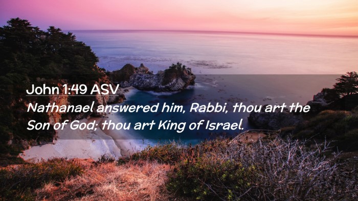 Picture 02 - John 1:49 ASV Desktop Wallpaper - Nathanael answered him, Rabbi, thou art the Son - Desktop Bible Verse Wallpaper