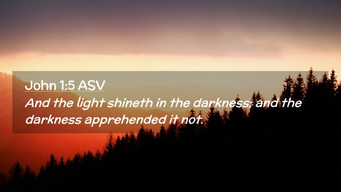 Picture 02 - John 1:5 ASV Desktop Wallpaper - And the light shineth in the darkness; and the - Desktop Bible Verse Wallpaper