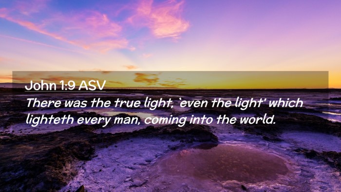 Picture 02 - John 1:9 ASV Desktop Wallpaper - There was the true light, `even the light' which - Desktop Bible Verse Wallpaper