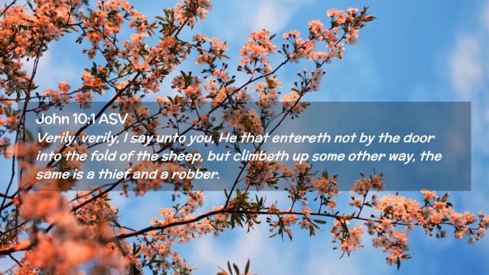 Picture 02 - John 10:1 ASV Desktop Wallpaper - Verily, verily, I say unto you, He that entereth - Desktop Bible Verse Wallpaper