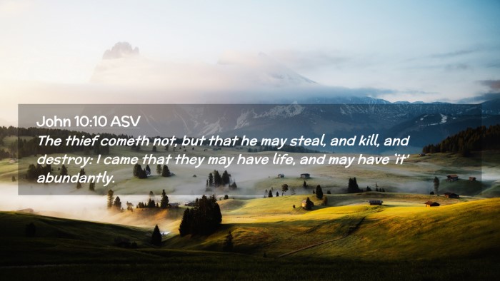 Picture 02 - John 10:10 ASV Desktop Wallpaper - The thief cometh not, but that he may steal, and - Desktop Bible Verse Wallpaper
