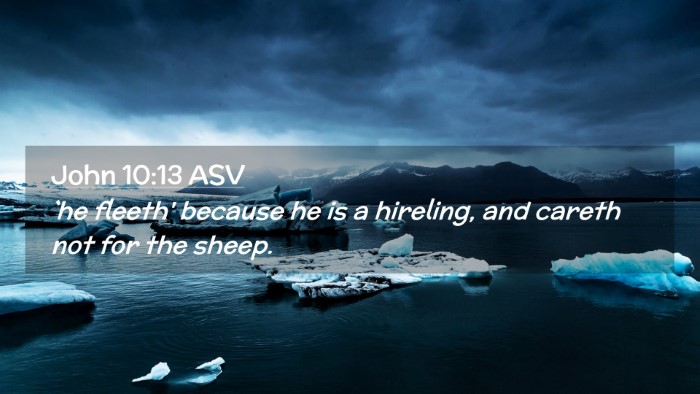 Picture 02 - John 10:13 ASV Desktop Wallpaper - `he fleeth' because he is a hireling, and careth - Desktop Bible Verse Wallpaper