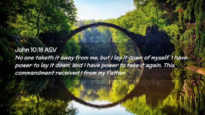 Picture 02 - John 10:18 ASV Desktop Wallpaper - No one taketh it away from me, but I lay it down - Desktop Bible Verse Wallpaper