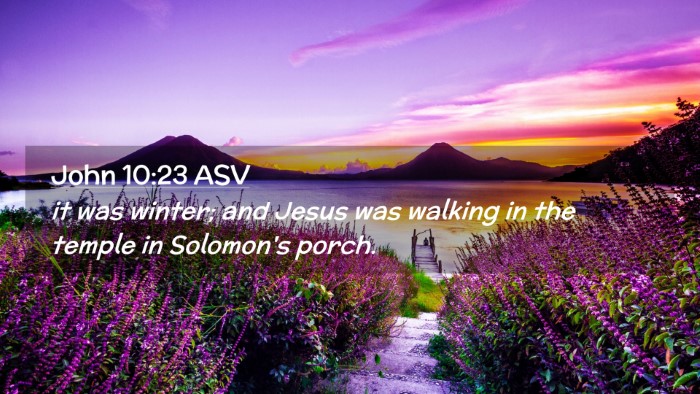 Picture 02 - John 10:23 ASV Desktop Wallpaper - it was winter; and Jesus was walking in the - Desktop Bible Verse Wallpaper