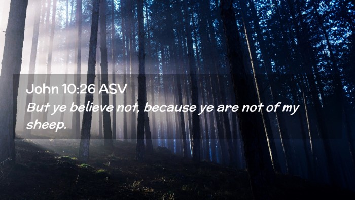 Picture 02 - John 10:26 ASV Desktop Wallpaper - But ye believe not, because ye are not of my - Desktop Bible Verse Wallpaper