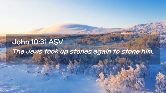 Picture 02 - John 10:31 ASV Desktop Wallpaper - The Jews took up stones again to stone - Desktop Bible Verse Wallpaper
