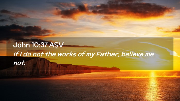 Picture 02 - John 10:37 ASV Desktop Wallpaper - If I do not the works of my Father, believe me - Desktop Bible Verse Wallpaper