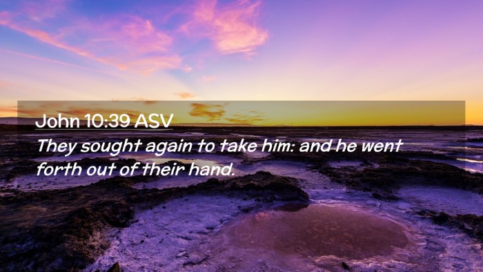 Picture 02 - John 10:39 ASV Desktop Wallpaper - They sought again to take him: and he went forth - Desktop Bible Verse Wallpaper