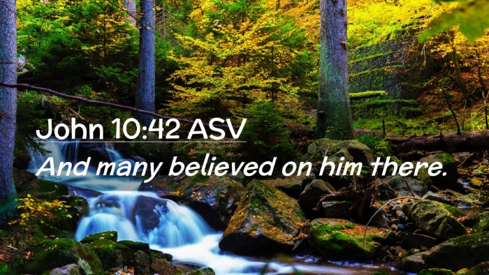 Picture 02 - John 10:42 ASV Desktop Wallpaper - And many believed on him - Desktop Bible Verse Wallpaper