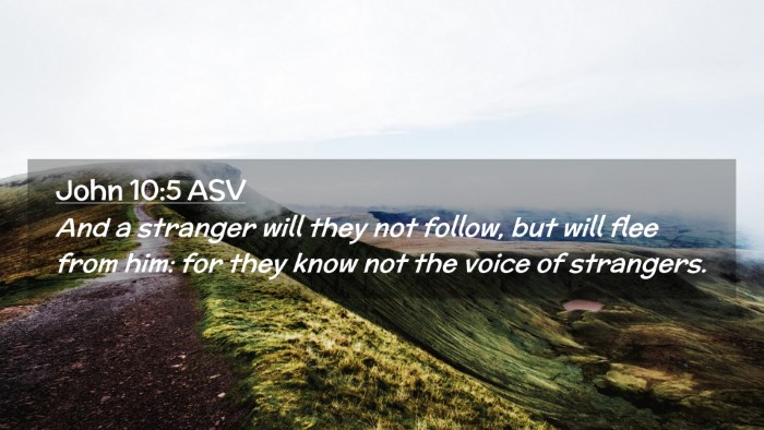Picture 02 - John 10:5 ASV Desktop Wallpaper - And a stranger will they not follow, but will - Desktop Bible Verse Wallpaper