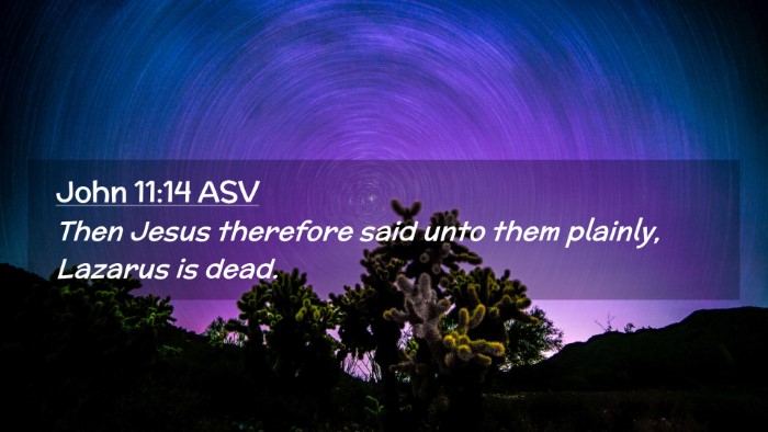 Picture 02 - John 11:14 ASV Desktop Wallpaper - Then Jesus therefore said unto them plainly, - Desktop Bible Verse Wallpaper