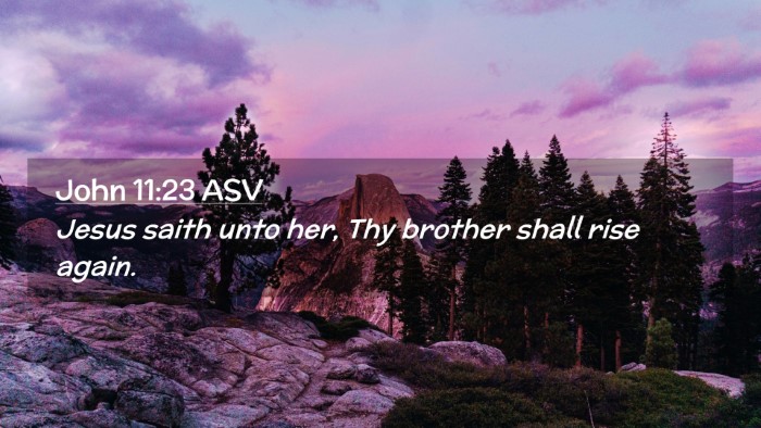 Picture 02 - John 11:23 ASV Desktop Wallpaper - Jesus saith unto her, Thy brother shall rise - Desktop Bible Verse Wallpaper