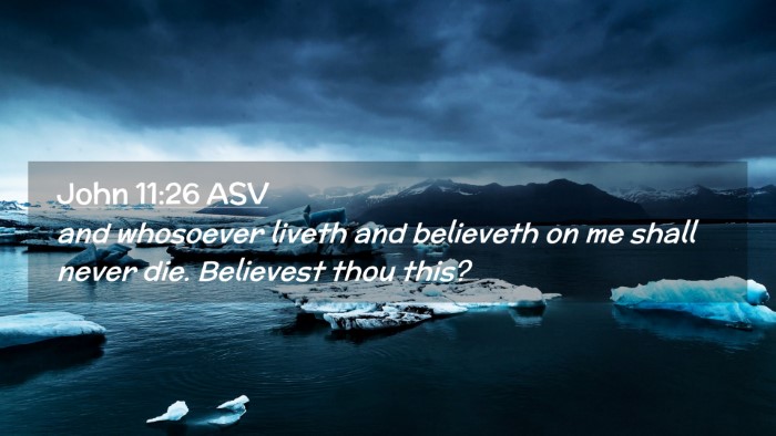 Picture 02 - John 11:26 ASV Desktop Wallpaper - and whosoever liveth and believeth on me shall - Desktop Bible Verse Wallpaper