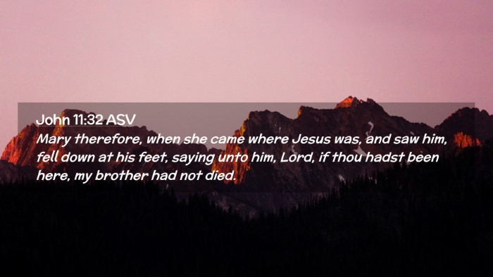 Picture 02 - John 11:32 ASV Desktop Wallpaper - Mary therefore, when she came where Jesus was, - Desktop Bible Verse Wallpaper